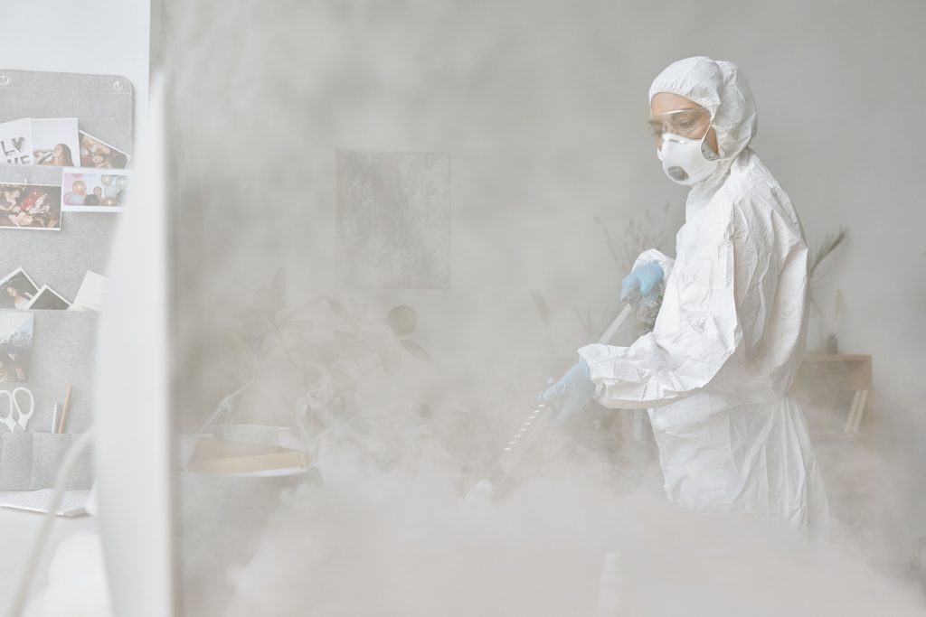 control de plagas en Alcorcón